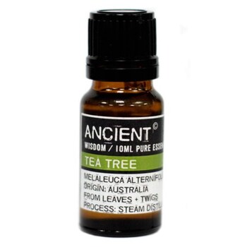 Ulei esential de Tea Tree (Melaleuca Alternifolia), 10ml - Ancient Wisdom